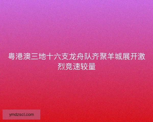 粤港澳三地十六支龙舟队齐聚羊城展开激烈竞速较量