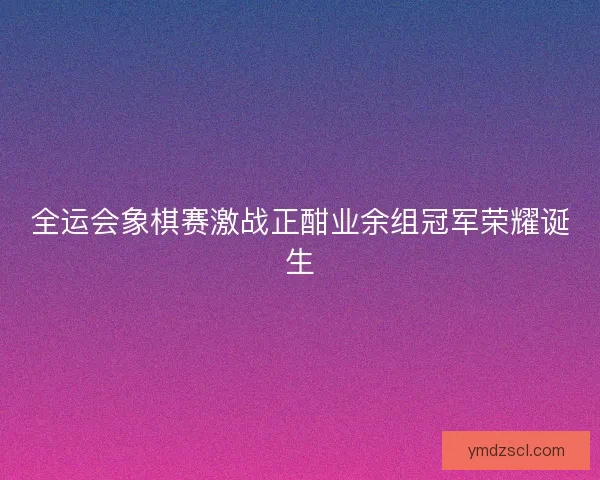 全运会象棋赛激战正酣业余组冠军荣耀诞生 全运会象棋赛激战正酣业余组冠军荣耀诞生